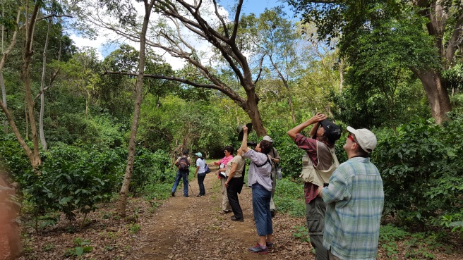 Birdwatching Jeffrey McCrary and group from El Porvenir in Nicaragua
